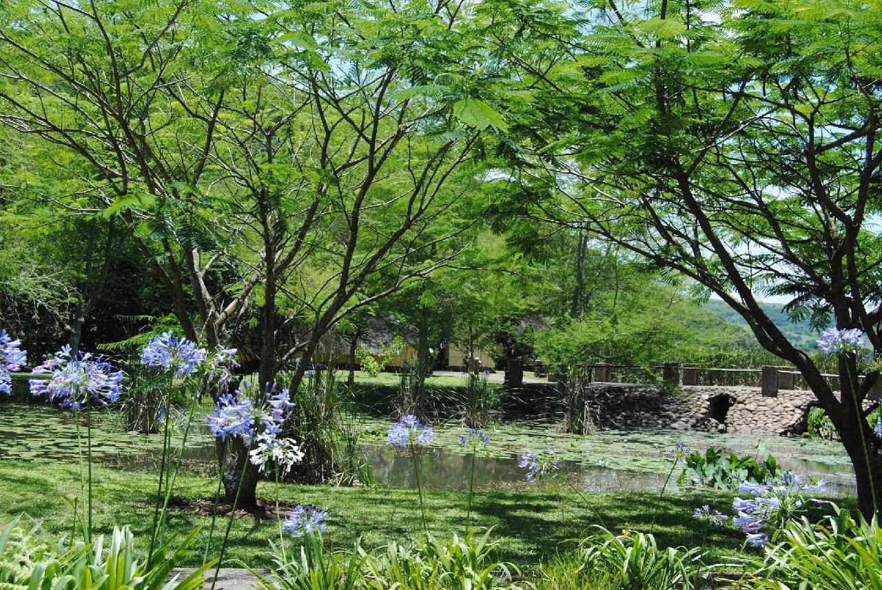 Wellvale Resort 