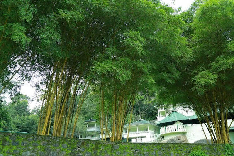 Aruvi Resort Munnar 