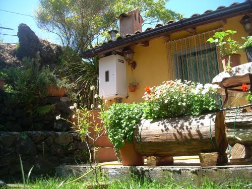 Casa Vacanza La Papuzza Mare E Etna (كاسا واكانزا لا پاپوزا مار ا اتنا) 