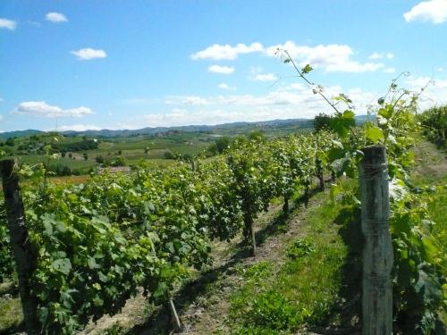 Agriturismo Relais Il Bricco 