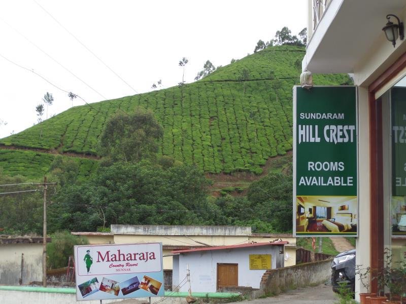 Hill Crest 