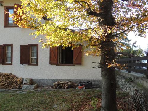 Ico's Lodge 