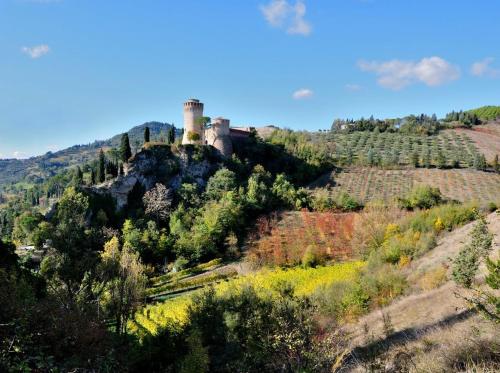 Casadelia 