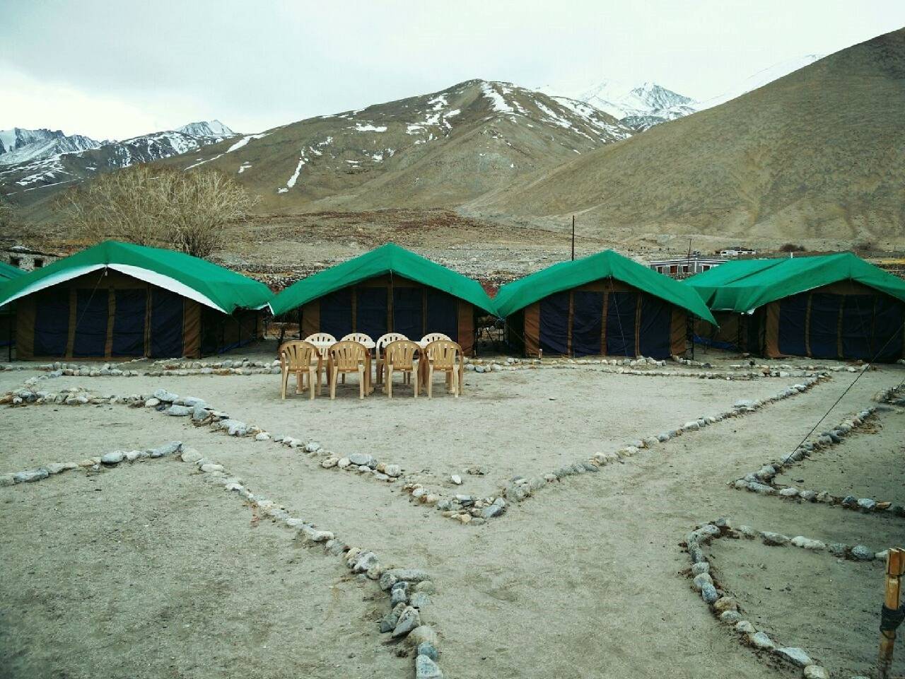 Pangong Delight Camp 