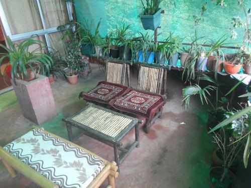 Mcleodganj Homestay 