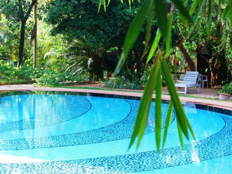 Granpas Inn Hotel Bougainvillea 