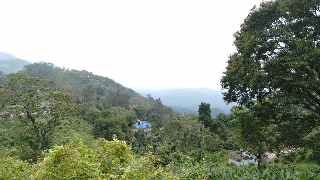 Drizzle Valley 