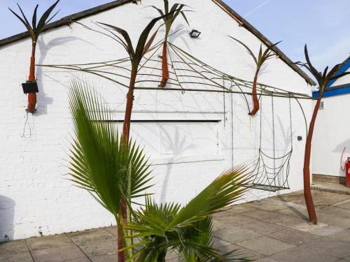 Casa View (كاسا ویو) 
