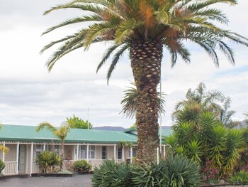 Palm Motel Waihi Property Grounds