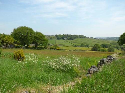 The Mistle Carr Farm 