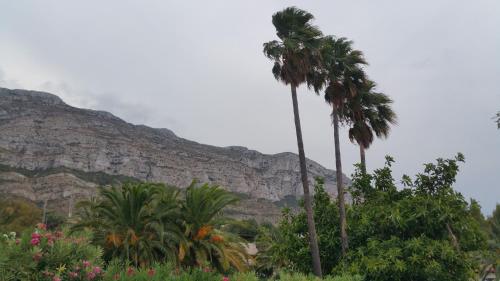Apartamentos Montgò 