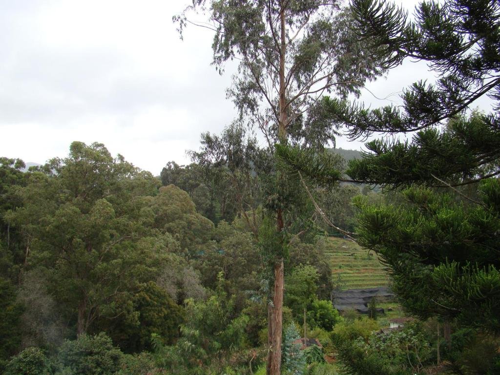 Kumar's Mountain View Cottage 