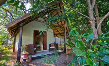 Mose Street Apartments Property Grounds