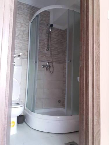 Guest House Farkas Home Invest 