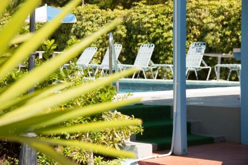 Palm Garden Hotel 