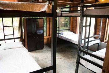 Wonderland Hostel 