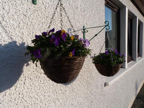 Hallaig Guest House 