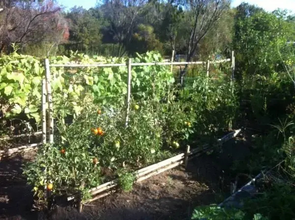 Les Jardins De Foata 