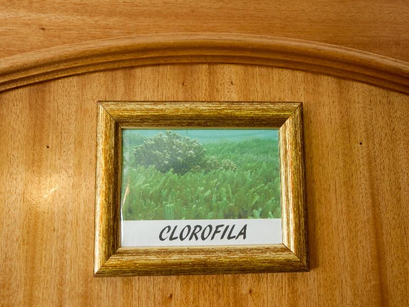 Ericeira Chill Hill 3 Sea Food Room