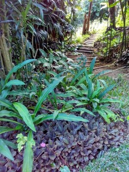 The Station Seychelles Property Grounds