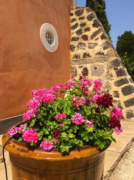 Gorgeous Seaview House In The Nature Reserve Of Roque Haute With Pool Garden