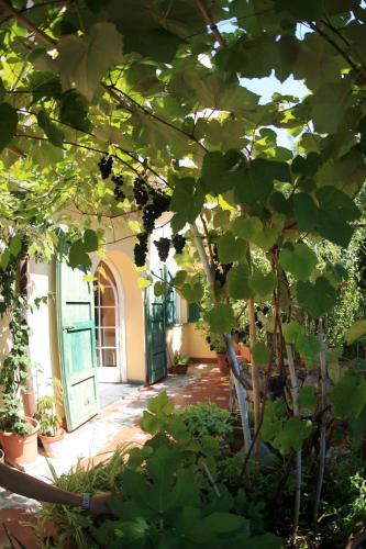 Locanda Miranda 
