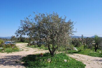 Casa Per Ferie Villaggio Carovana Garden