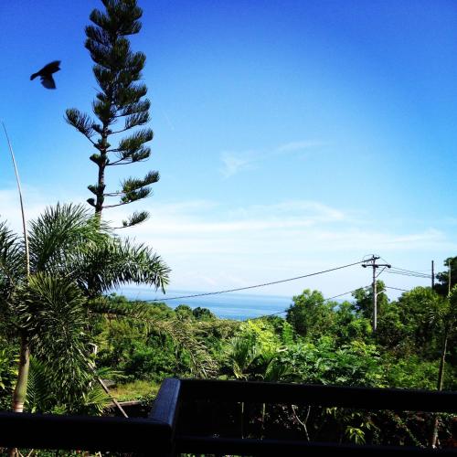 Waroeng Surya Home Stay 