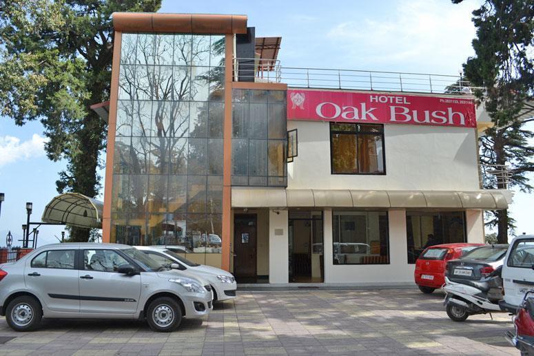 Hotel Majestic Oak Bush 