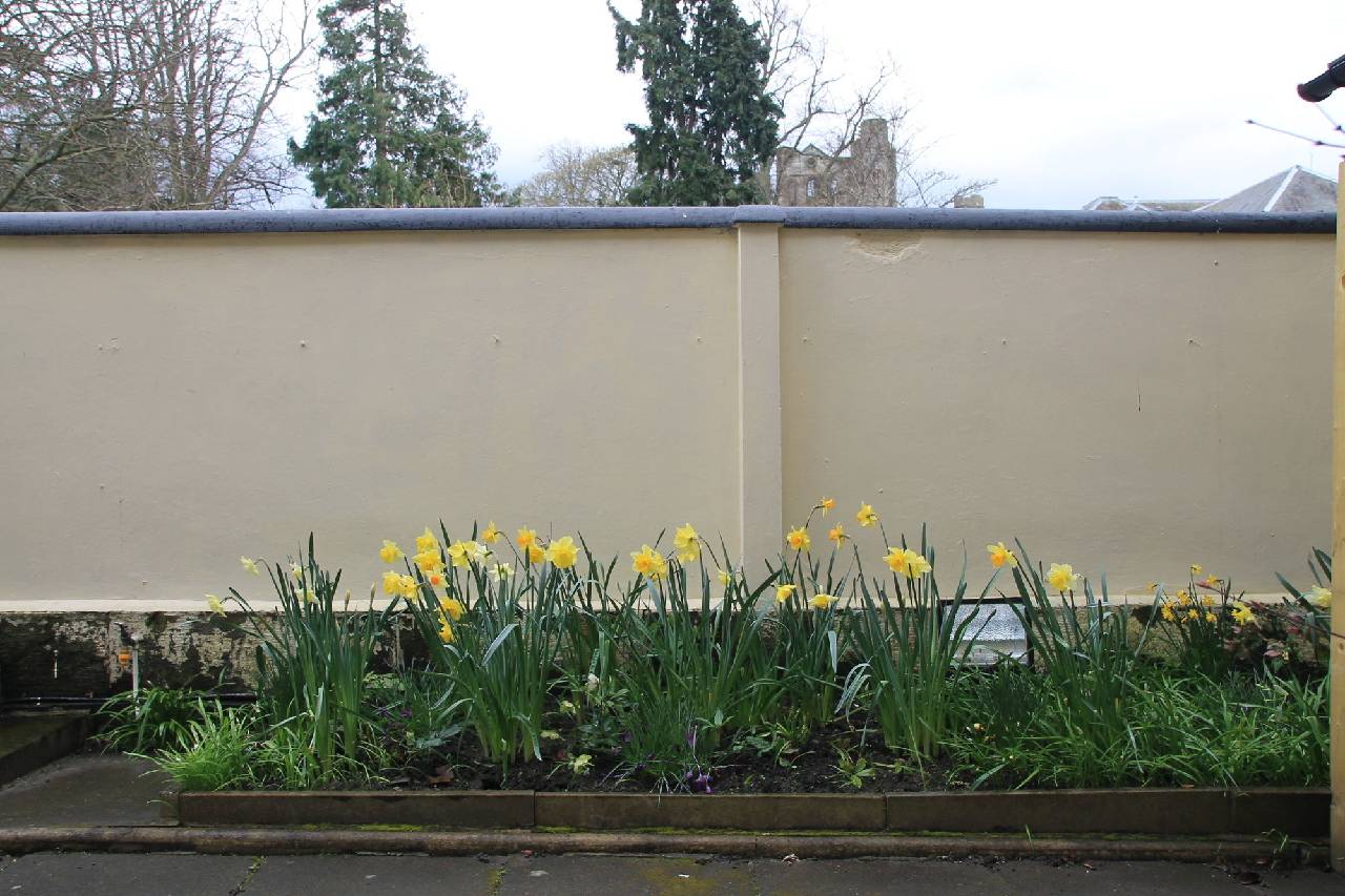 Inglestone House 