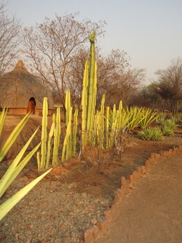 Nona Lodge Guestroom