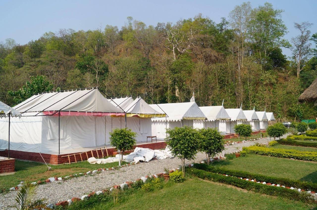 Jungle Eco Resort 