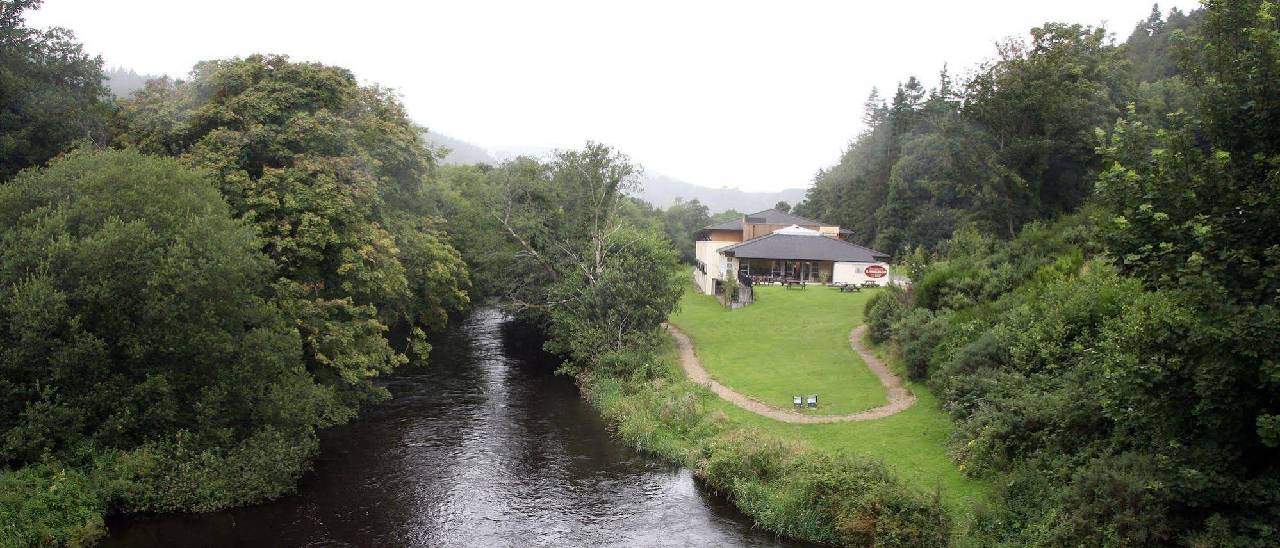 Woodenbridge Hotel & Lodge 