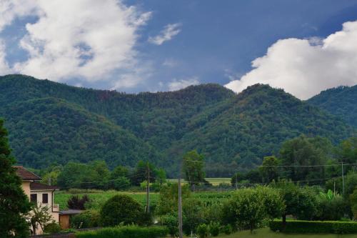 Luxury Apartment On Prosecco Hills 