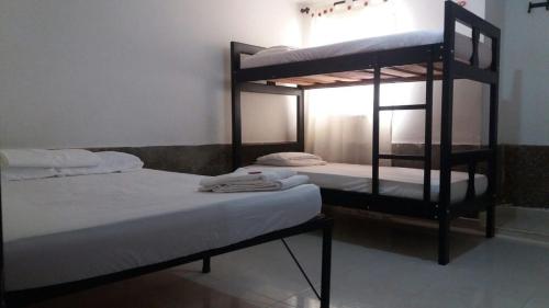 Cactus City Hostel Confort 