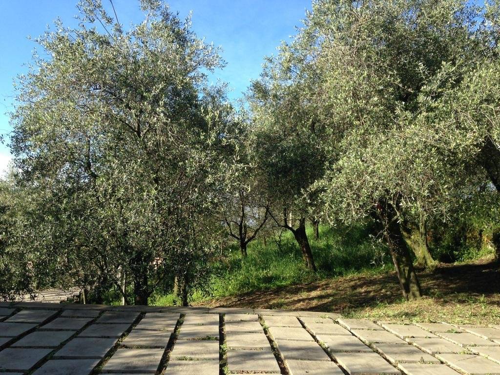 Casa Aquarela (كاسا آکوارلا) 