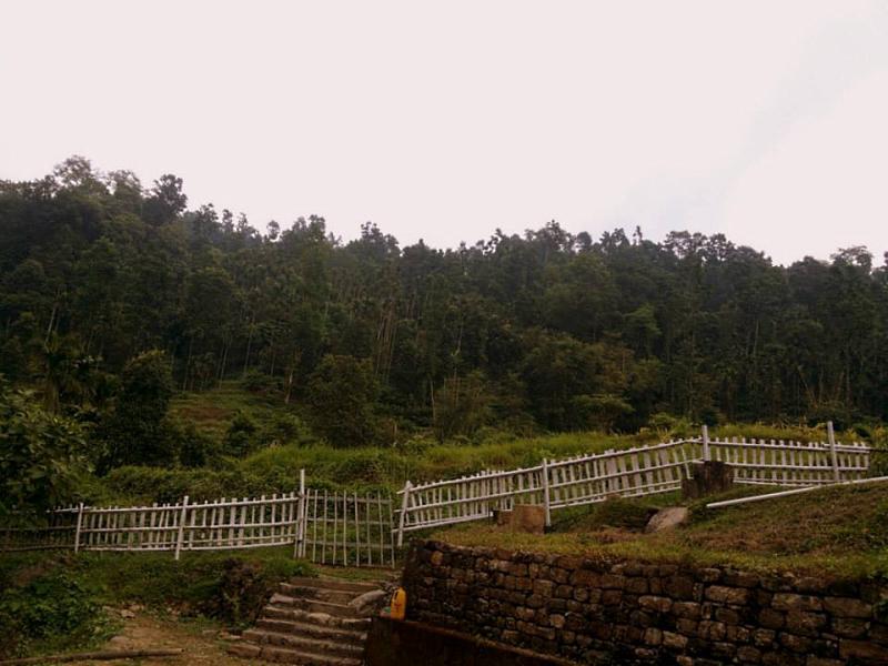 Petrichor Farms (پتریچور فارمس) 