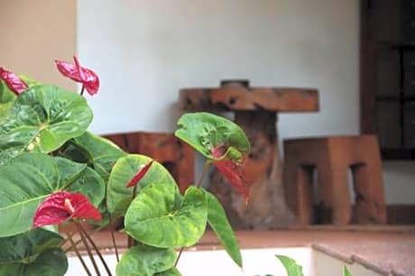 Alamanda Guest House 