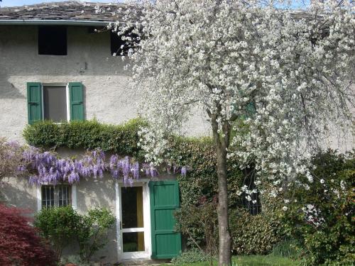 B&b L'isola 