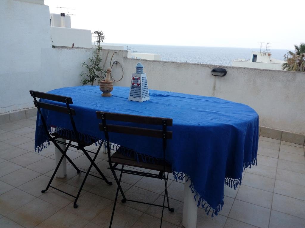 Seriola House (سریولا هاوس) 