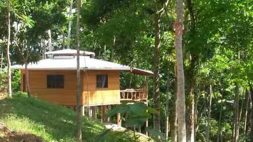 Hotel Y Termas Jilamito 