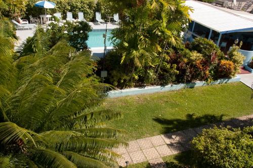 Palm Garden Hotel 