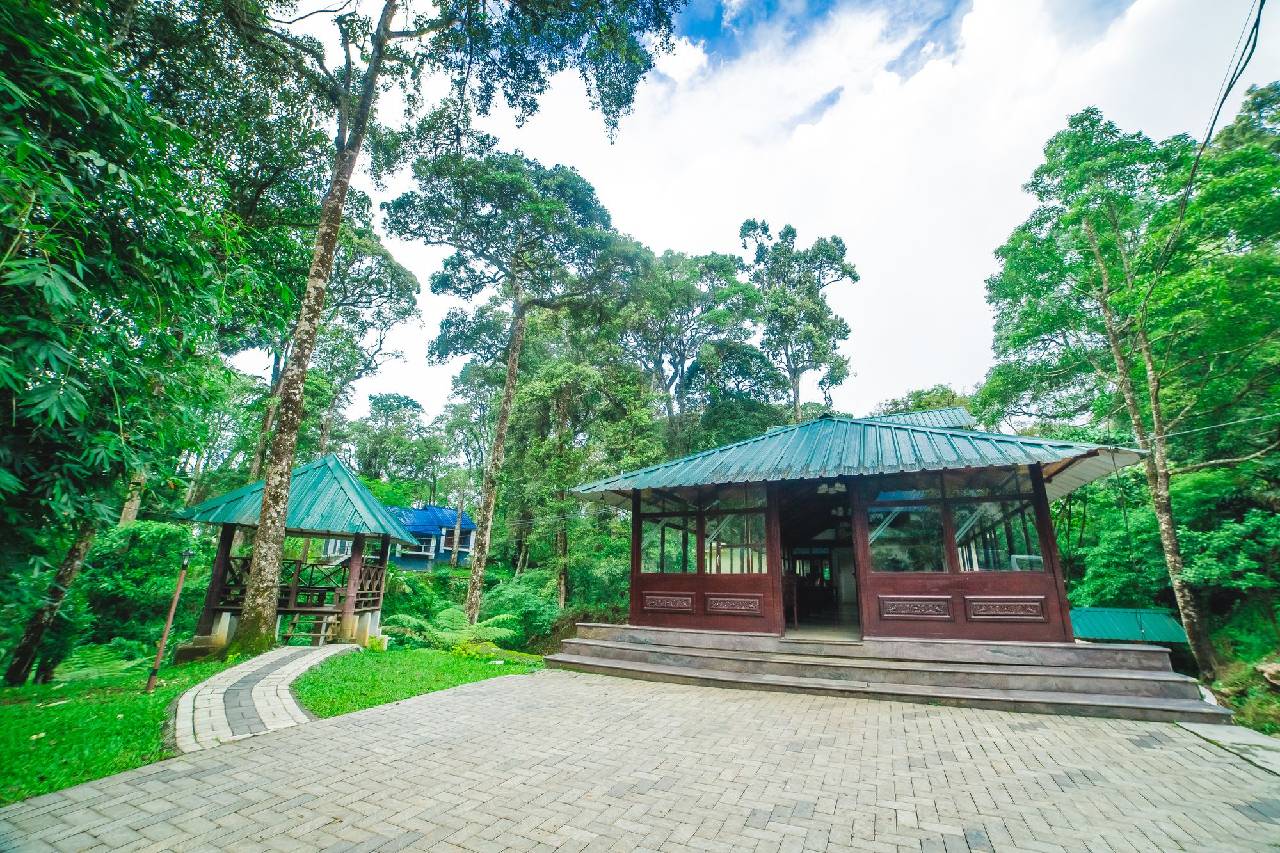 Deep Woods Resort 