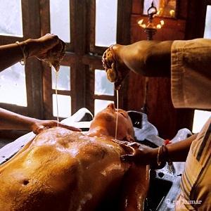Eden Garden Ayurvedic Health Retreat 