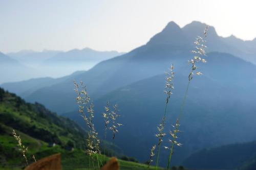 Appartement Barcelonnette 