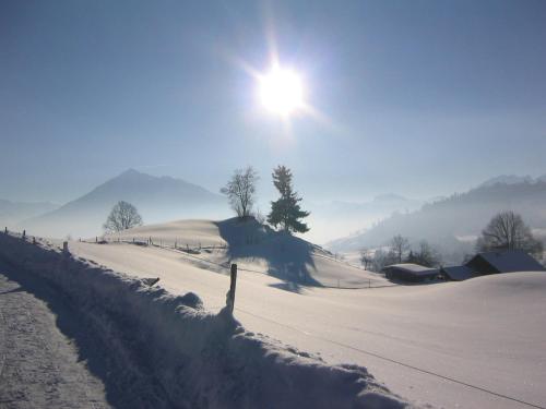 Chalet Sunneschyn 