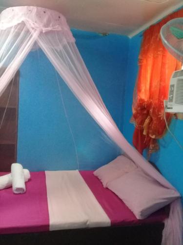 Jed Backpackers Inn 