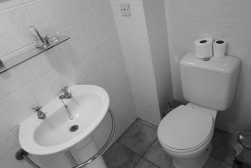 Winelodge Dereham 
