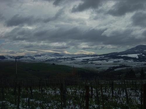 Agriturismo Il Pratone 