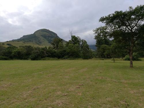 Ametis Guest Farm (آمتیس گست فارم) 